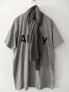 10's デッドストック 米軍 ストール グレー アメリカ army アナトミカ