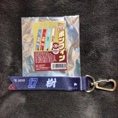 Item thumbnail for item abf1db30-f109-40dc-8d98-828331035f3e