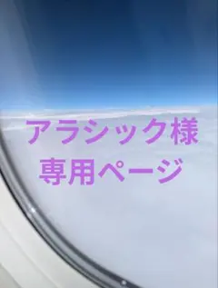 アラシック様 リクエスト 3点 まとめ商品