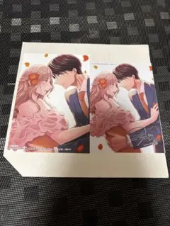 「ハズレではじまる溺愛人生～仕組まれた恋の相手はハイスぺ社長3」特典のみ！