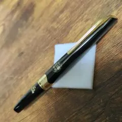 プラチナ万年筆 ショート軸 ポケット ストライプ 14K WG 中字 - メルカリ