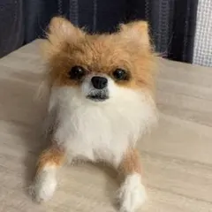⭐️ニーモ様専用・羊毛フェルト犬・伏せポーズチワワちゃん