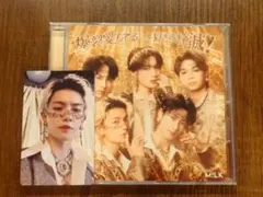 M!LK 爆裂愛してる 好きすぎて滅 通常盤 トレカ 佐野勇斗