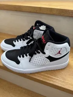 NIKE JORDAN ACCESS スニーカー 26センチのサムネイル