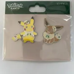 ポケパーク ピンズ ピカチュウ イーブイ - メルカリ