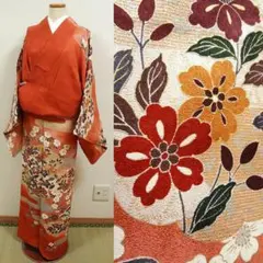 落ち着きのある雰囲気 モミジ 紅羽衣 812 樹高1.0m位 ベニハゴロモ