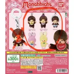 モンチッチ めじるしアクセサリー2 セミコンプセット