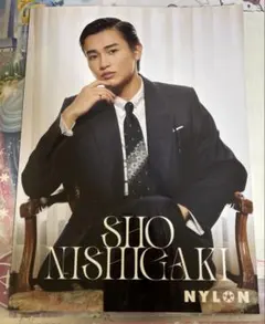 西垣匠 / 『SHO NISHIGAKI NYLON SUPER VOL.17』