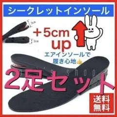 シークレットインソール　2セット　中敷きシリコンエアーインソール　　衝撃吸収