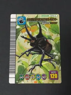 2026年最新】サンボンヅノカブトの人気アイテム - メルカリ