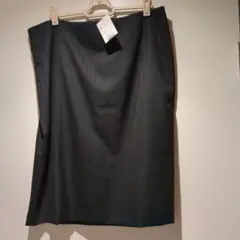 Item thumbnail for item a9507bd6-2ec1-49e4-b034-346d3ee27bd6