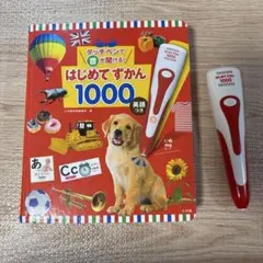はじめてずかん 1000 音声付き