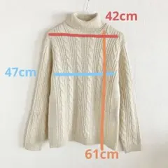 タートルネックセーター ケーブル