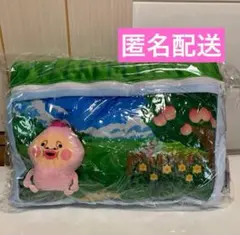 こびとづかん　マスコット入りクッション　カクレモモジリ