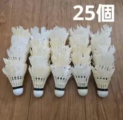 54球】羽根カット済み バドミントンシャトル 野球ノック・練習・工作用