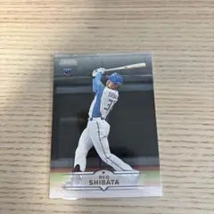 柴田獅子 2025 topps npb スタジアムクラブ 日本ハムファイターズ