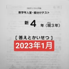 2025年最新】sapix 新3年 入室テストの人気アイテム - メルカリ