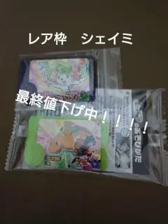 ポケモンフレンダ　スーパートレジャーレア枠　シェイミ　スペシャル　カイリュー