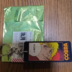 2026年最新】寺沢武一の人気アイテム - メルカリ