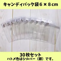 キャンディバッグ袋 6×8cm30枚（銀ハトメジップ下）