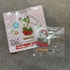 シルバニアファミリー　赤ちゃんアクリルキーチェーン　いちご　ハスキー　リンネア