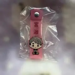 ハイキュー!! 一番くじ ぽこっとちゃーむ 宮治