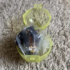 ツイステ　ツイステッドワンダーランド　肩ズン　　レオナ