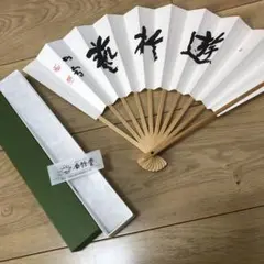 Item thumbnail for item a9e32007-d532-40e4-acd5-67a6d539adfd