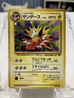 2025年最新】ポケモンジャングル サンダースの人気アイテム - メルカリ