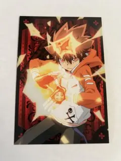 家庭教師ヒットマンREBORN】CCG 箔押し サイン付き 沢田綱吉 ツナ