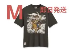 Item thumbnail for item 6177641f-3c6c-46d9-881a-48cd395d2c83