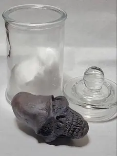 2025年最新】標本瓶の人気アイテム - メルカリ