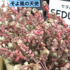 きよママ様 リクエスト 3点 まとめ商品