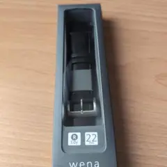 SONY wena write leather　WC-22E0N/B