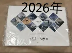 ビーチコーミング　BCM 2026年 カレンダー 壁掛けカレンダー　サーフィン