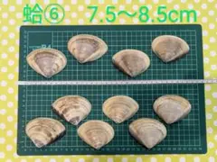 Maki H様 リクエスト 2点 まとめ商品