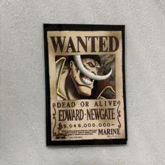 麦わらストア　手配書