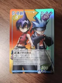 シャーマンキングTCG超占事略決prize3 道蓮/ホロホロ - メルカリ