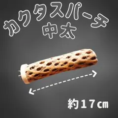 2026年最新】カクタスパーチの人気アイテム - メルカリ