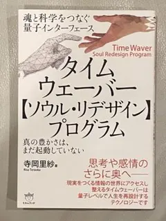 タイムウェーバー【ソウル・リデザイン】プログラム : 真の豊かさは、まだ起動し…