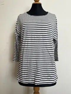 EddieDauerボーダー柄ロンT 長袖カットソー カジュアル未使用