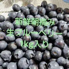 完熟 生ブルーベリー【大粒〜特大】900g(180g×5p) - メルカリ