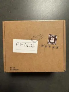 【新品未開封】TXT beomgyu panic