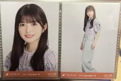 小川彩　フリルTシャツ　セミコンプ