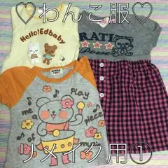 るぃたま@様♡わんこ服♡専用②