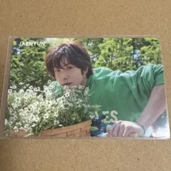 nct127 タレントカード