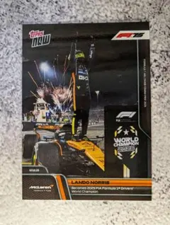 2026年最新】ランドノリスの人気アイテム - メルカリ