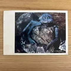 2025年最新】5円引きブロマイドウルトラマンの人気アイテム