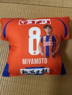 宮本英治　マッチデークッション