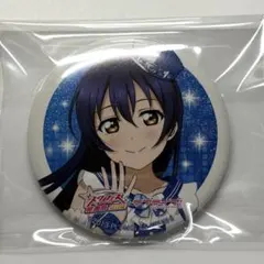 ラブライブ 園田海未 スク感 缶バッジ スクフェス感謝祭 μ's セット ラブライブ! スクフェス感謝祭2017 記念缶バッジ μ's 園田海未